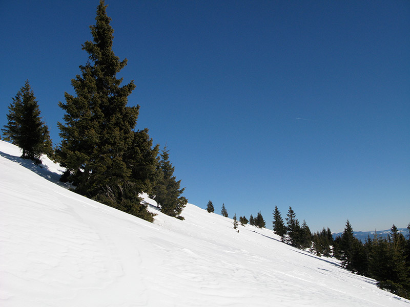 speikkogel